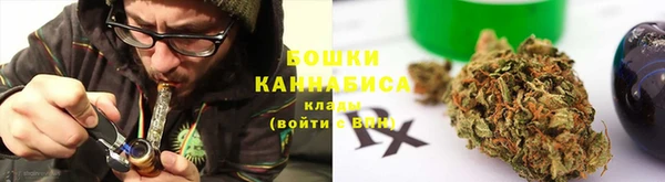 дмт Краснослободск