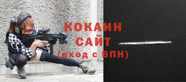 дмт Краснослободск