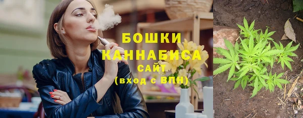 дмт Краснослободск