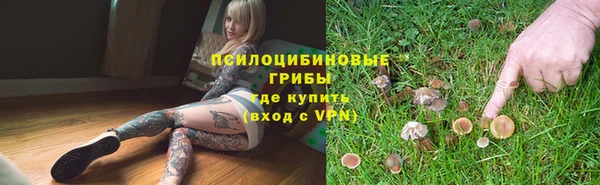 дмт Краснослободск